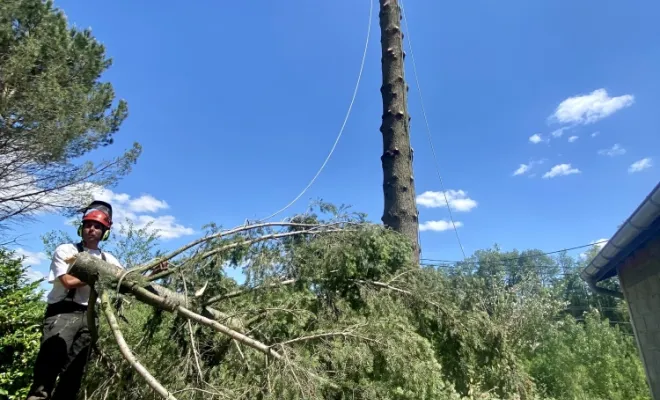 Abattage d'un arbre gênant à Cheyssieu, Vienne, Tree Service