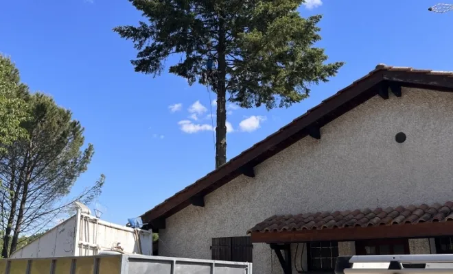 Abattage d'un arbre gênant à Cheyssieu, Vienne, Tree Service