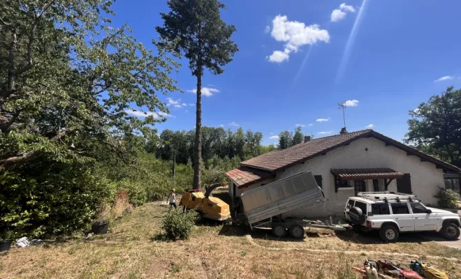 Abattage d'un arbre gênant à Cheyssieu, Vienne, Tree Service