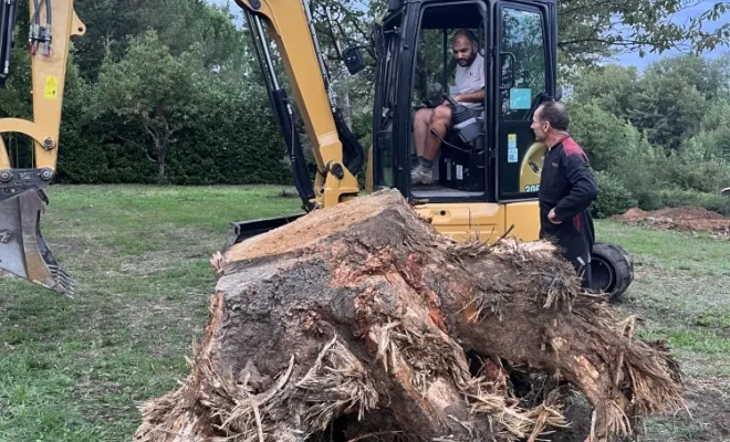 Abattage d'un arbre gênant à Cheyssieu, Vienne, Tree Service