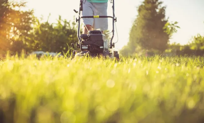 Tonte de pelouse, Vienne, Tree Service