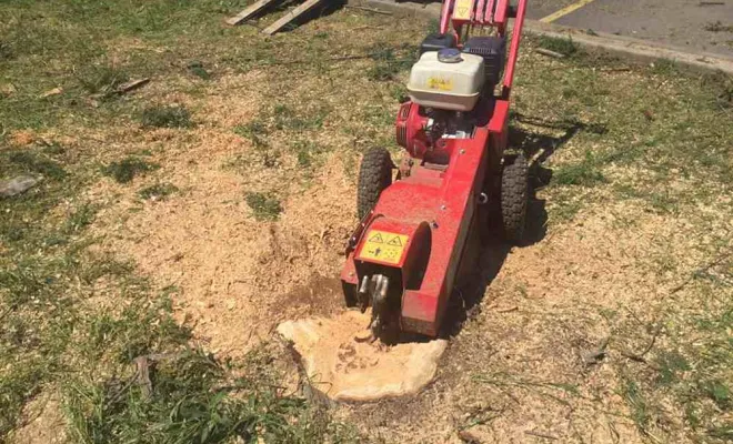 Rognage de souche, Vienne, Tree Service