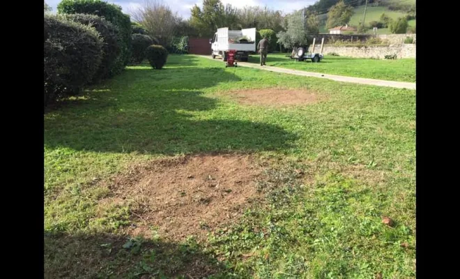 Rognage de souche, Vienne, Tree Service